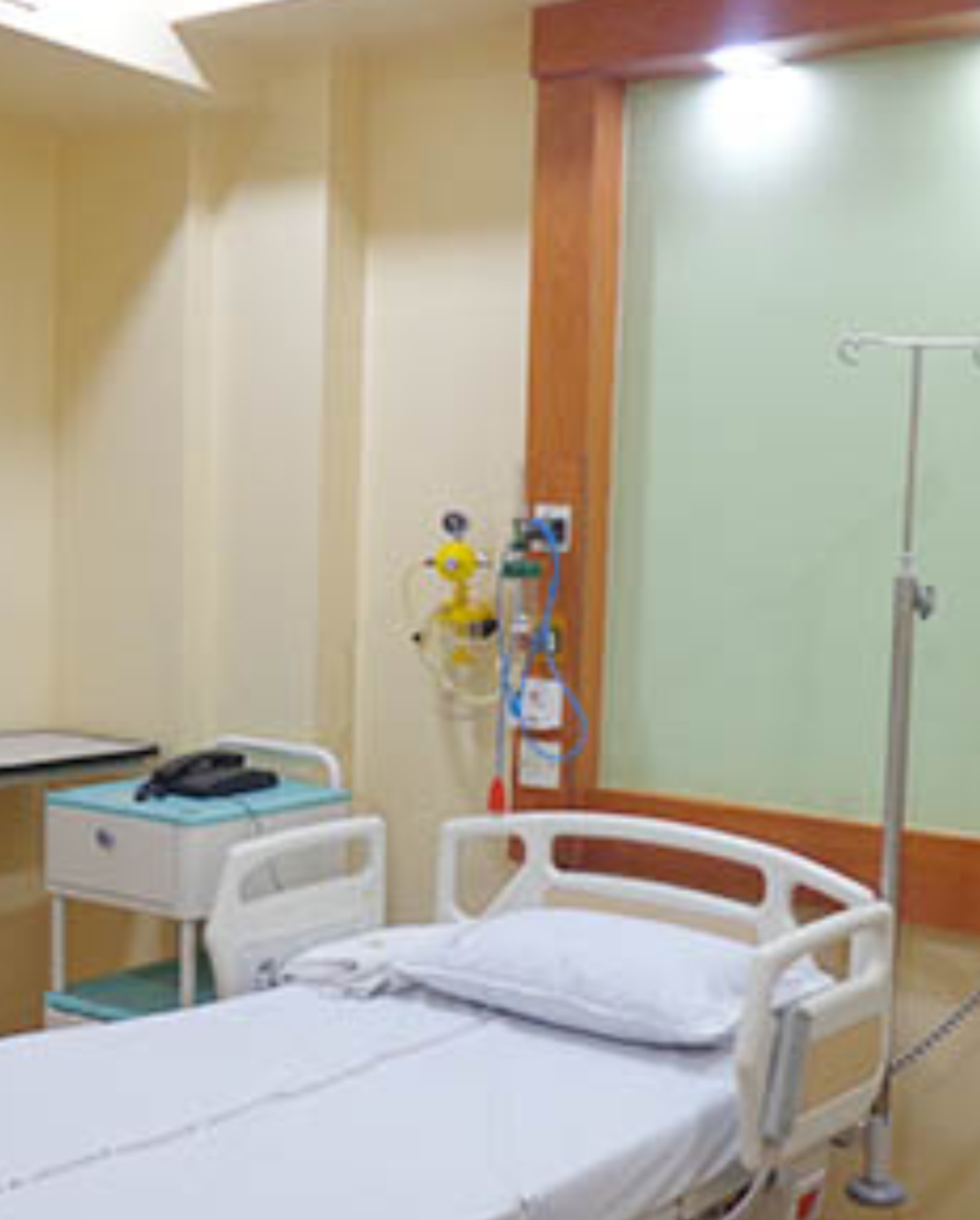 Senior Citizen Checkup